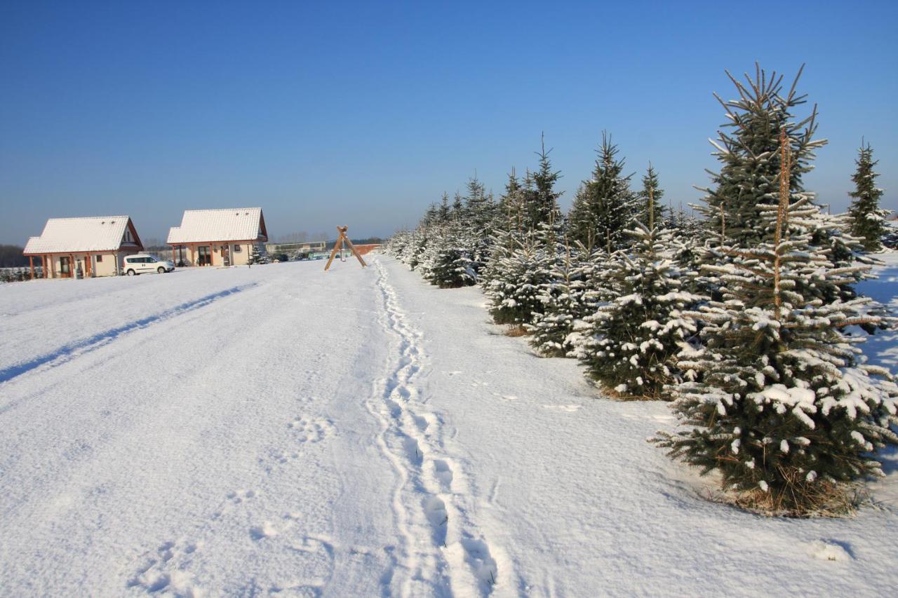 Wygodny Murowany Domek- Nowy Dąbki Exterior foto